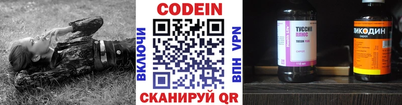Купить закладки  Петровск  Codein Purple Drank 