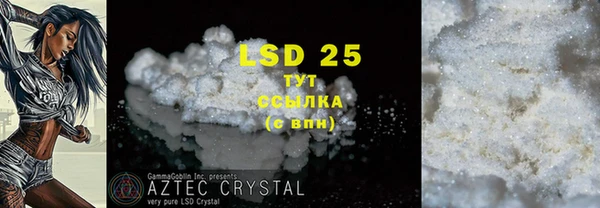 гидра Карпинск