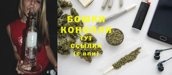 стаф Каменногорск