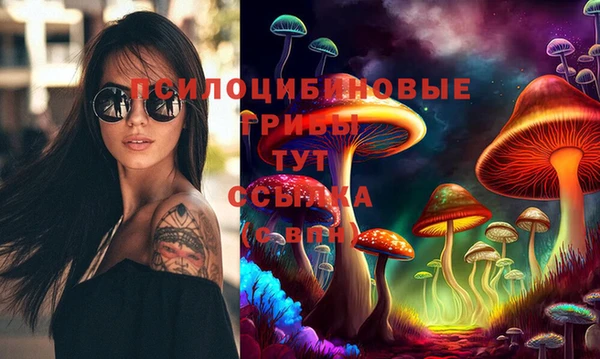 синтетический гашиш Каменка