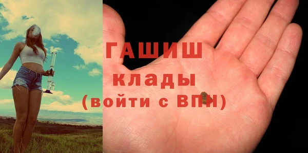 стаф Каменногорск