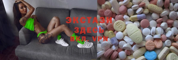 стаф Каменногорск