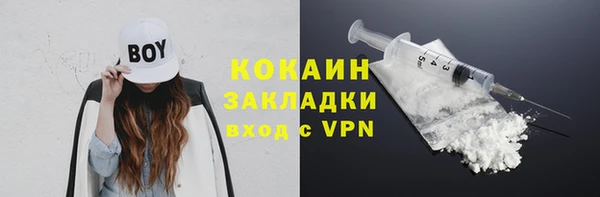 стаф Каменногорск
