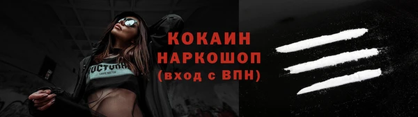 стаф Каменногорск