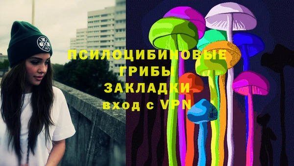стаф Каменногорск