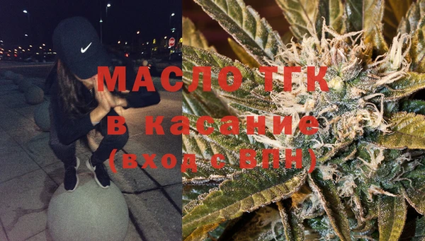 стаф Каменногорск