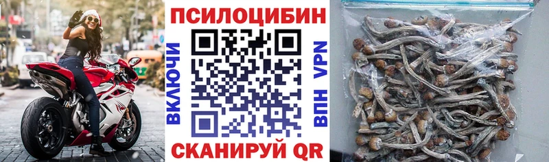 Купить где  Петровск  Псилоцибиновые грибы MAGIC MUSHROOMS 