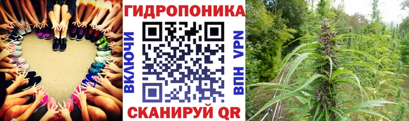 Купить  Петровск  Шишки марихуана MAZAR 